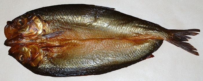 Kipper herring kippers smoked kettle idioms isda ang tinapa gutted