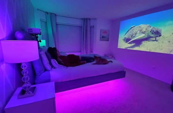 Projector cinema room living screen setup screens rooms design modern styles beamer ideas theater interior movie designs apartment study board