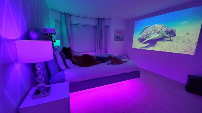 Projector cinema room living screen setup screens rooms design modern styles beamer ideas theater interior movie designs apartment study board